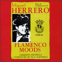 Miguel Herrero - Flamenco Moods lyrics