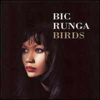 Bic Runga - Birds lyrics