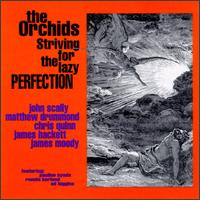The Orchids - Striving for the Lazy Perfection lyrics