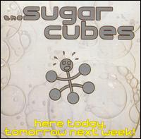 The Sugarcubes - Here Today, Tomorrow Next Week! lyrics