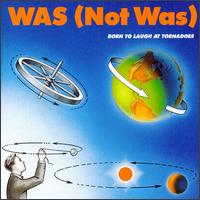 Was (Not Was) - Born to Laugh at Tornadoes lyrics