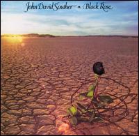 J.D. Souther - Black Rose lyrics