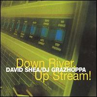 David Shea - Down River Up Stream lyrics