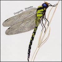 The Strawbs - Dragonfly lyrics