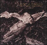 David Sylvian - Plight and Premonition lyrics