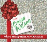 Brian Wilson - What I Really Want for Christmas lyrics
