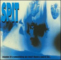 SPIT - Maybe It's Something We Don't Have a Word For... lyrics