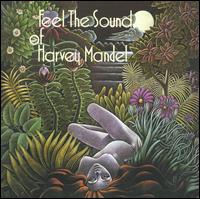 Harvey Mandel - Feel the Sound of Harvey Mandel lyrics