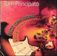 Tom Principato - Not One Word lyrics