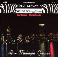 Ron Levy - After Midnight Grooves lyrics
