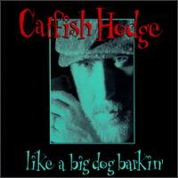 Bob "Catfish" Hodge - Like a Big Dog Barkin' lyrics
