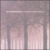 The Peter Bruntnell Combination - Normal for Bridgewater lyrics