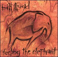 Bill Lloyd - Feeling the Elephant lyrics