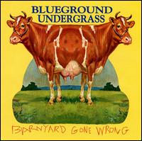 Blueground Undergrass - Barnyard Gone Wrong [live] lyrics