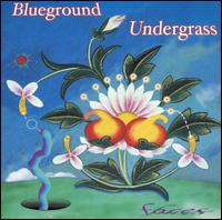 Blueground Undergrass - Faces lyrics