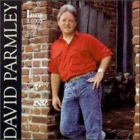 David Parmley - I Know a Good Thing lyrics