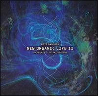 Pete Namlook - New Organic Life 2 lyrics