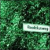 Roedelius - Rodeliusweg lyrics