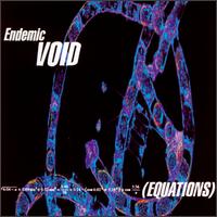 Endemic Void - Equations lyrics