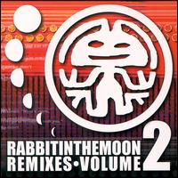 Rabbit in the Moon - Rabbit in the Moon Remixes, Vol. 2 lyrics