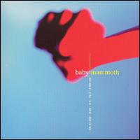 Baby Mammoth - Another Day at the Orifice lyrics