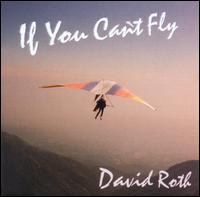 David Roth - If You Can't Fly lyrics