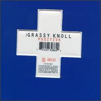 The Grassy Knoll - Positive lyrics