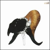 Coil - Black Antlers lyrics