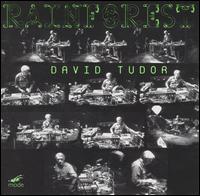 David Tudor - Rainforest lyrics