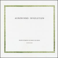Aurobindo - Involution lyrics