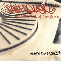 Sam Sever - What's That Sound? lyrics