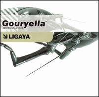 Gouryella - Ligaya [CD/12 Single] lyrics