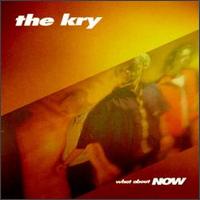 The Kry - What About Now lyrics