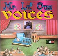 Mr. Lil One - Voices lyrics