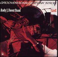 Andy J. Forest - Grooverockbluesfunk'n'Roll lyrics