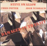 Steve Swallow - Damaged in Transit [live] lyrics