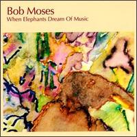 Bob Moses - When Elephants Dream of Music lyrics