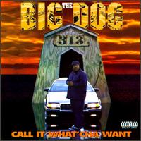 Big Dog & 313 - Call It What'cha Want lyrics