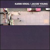 Karin Krog - Where Flamingos Fly lyrics