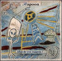 Rapoon - What Do You Suppose? lyrics