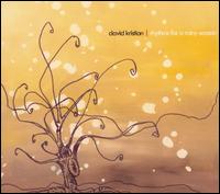 David Kristian - Rhythms for a Rainy Season lyrics