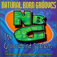 Natural Born Grooves - The Groovebird System lyrics
