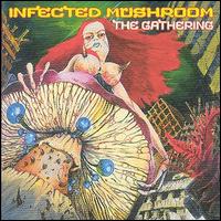 Infected Mushroom - The Gathering lyrics