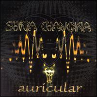 Shiva Chandra - Auricular lyrics