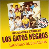 Los Gatos Negros - Grandes Exitos de los Gatos Negros, Vol. 2: Lagrimas de Escarcha lyrics