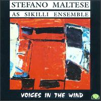 Stefano Maltese - Voices in the Wind lyrics