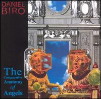 Daniel Biro - Comparative Anatomy of Angels lyrics