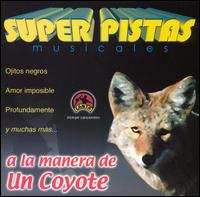 Grupo Musical de Exitos - Super Pistas a la Manera de Un Coyote lyrics