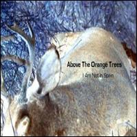 Above the Orange Trees - I Am Not in Spain lyrics