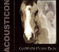 Acousticon - Gawani Pony Boy lyrics